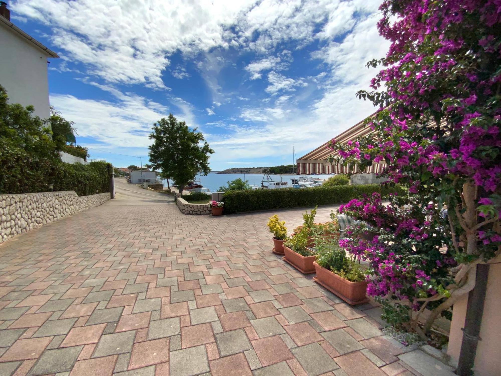 Olive House Apartment Simuni Exterior photo